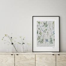 Load image into Gallery viewer, A wall art print with herbs and botanicals on a neutral grey background. It sits in a frame on a shelf beside some white flowers in vases. 
