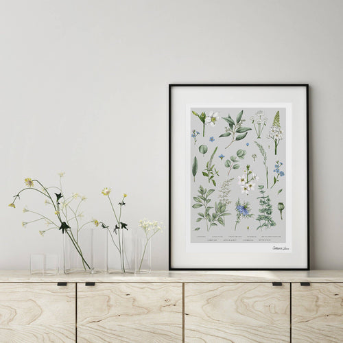 A wall art print with herbs and botanicals on a neutral grey background. It sits in a frame on a shelf beside some white flowers in vases. 