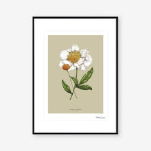 Load image into Gallery viewer, Spring Blossom Peony Art Print
