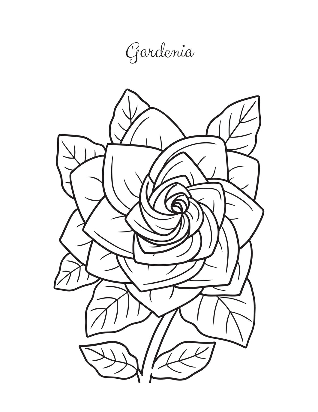 Gardenia Coloring Sheet