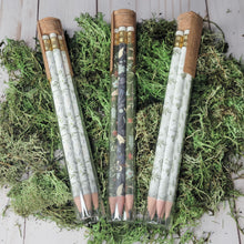 Load image into Gallery viewer, Fern Pencil Terrarium, Set Of 5 Pencils
