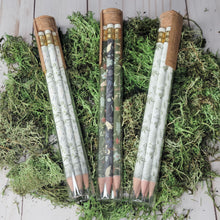 Load image into Gallery viewer, Garden Mix Pencil Terrarium, Set of 5 Pencils
